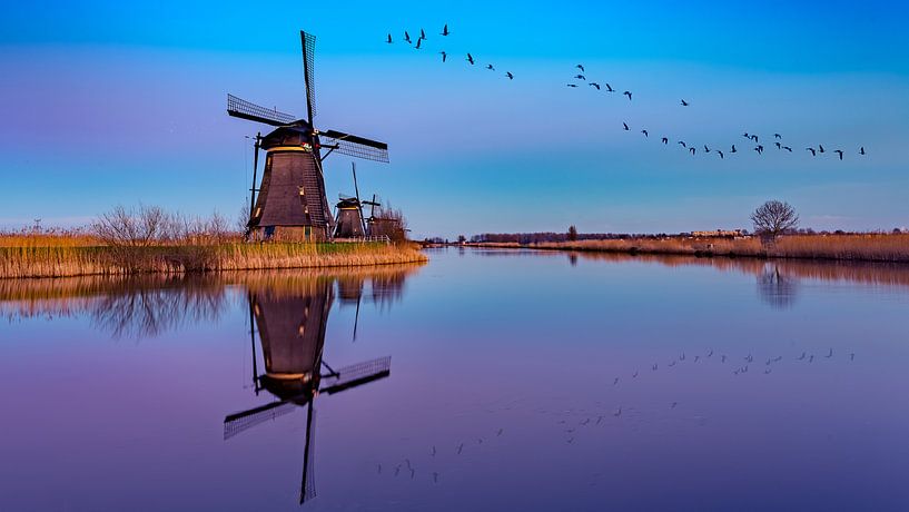reflection Kinderdijk van Michael van der Burg