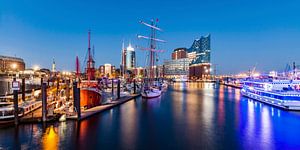 Haven van Hamburg met de Elbphilharmonie in Hamburg van Werner Dieterich