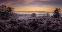 Nationaal Park Veluwezoom