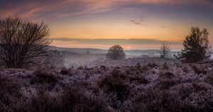 Parc national de Veluwezoom sur Martijn van Steenbergen