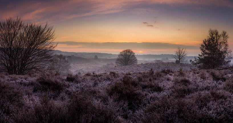 Parc national de Veluwezoom par Martijn van Steenbergen