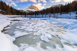 Small lake in winter by Daniela Beyer