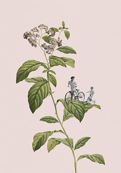 Botanisch fietsen