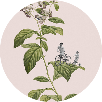 Botanische fietsen, Frida Floral Studio van 1x