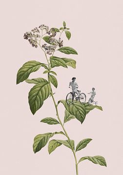 Botanische fietsen, Frida Floral Studio van 1x