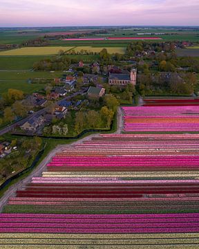 Farbenfrohe Tulpenfelder bei Aartswoud im Frühling von Ewold Kooistra