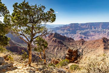 De Grand Canyon - Arizona van Martijn Bravenboer