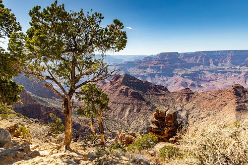 The Grand Canyon - Arizona