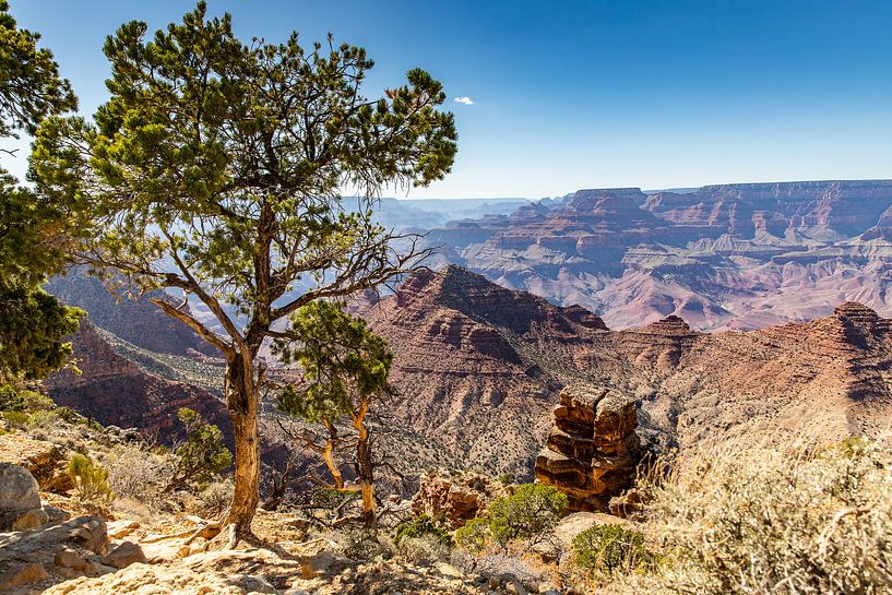 The Grand Canyon - Arizona by Martijn Bravenboer