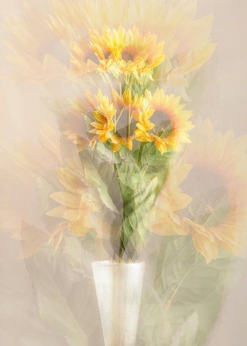 Sunflowers by Stefanie van Dijk