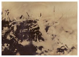 Agfa Brovira Satino _ 12 von Johannes Wobus