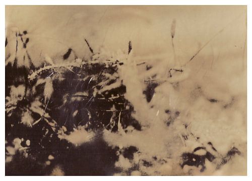 Agfa Brovira Satino _ 12
