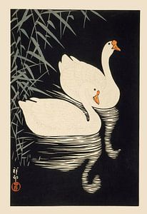Ohara Koson - Weiße chinesische Gänse, die durch Schilf schwimmen (bearbeitet)