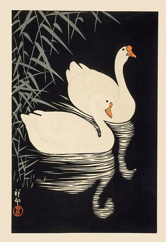 Ohara Koson - Witte Chinese ganzen zwemmen door riet (bewerkt)