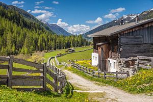 Altes Bauernhaus und Sommerwiese in Kasern im Hinteren Ahrntal, Südtirol