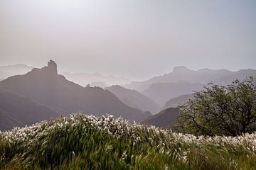 Zonsondergang in Gran Canaria, Cruz de Tejeda. van Marjolein Zijlstra