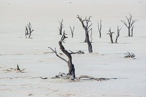 Deadvlei Namibie sur Peter Moerman