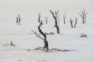 Deadvlei Namibia