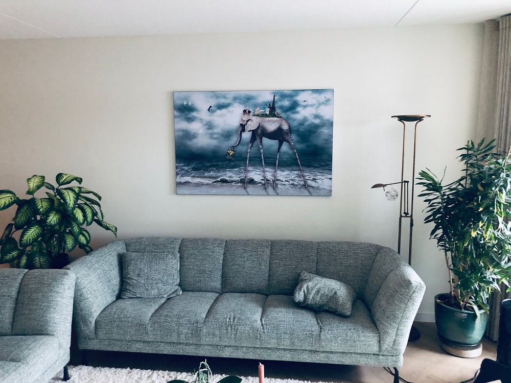 Beach walk around the world  by Carina Dumais 