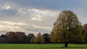 Herfstlandschap