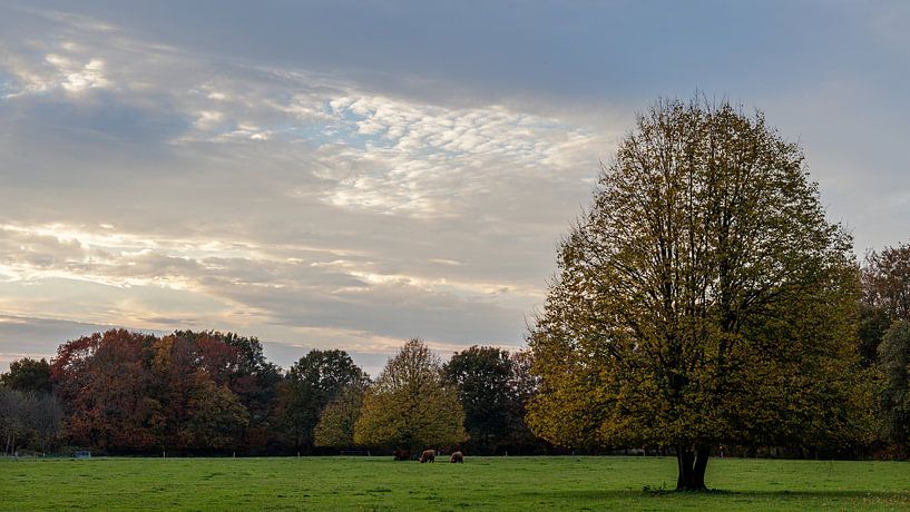 Autumn landscape by Anjo ten Kate