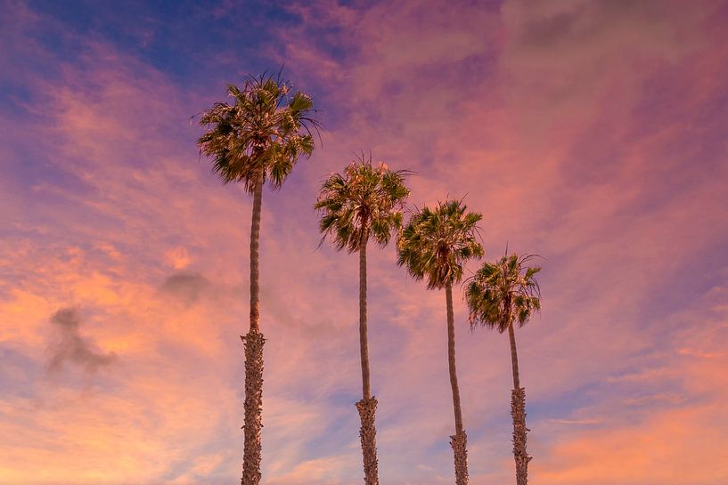 Zonsondergang met palmbomen van Melanie Viola