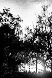 Reflektierte Vision 3
