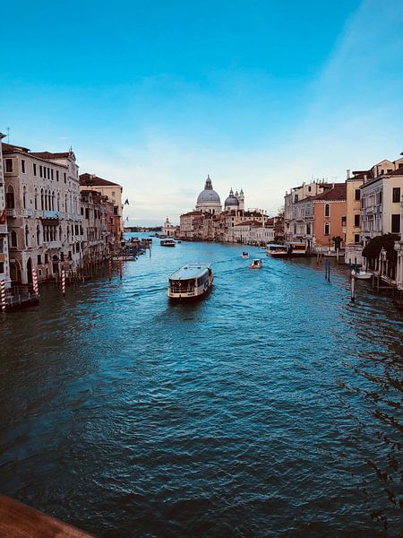 Venice by Hello Pompoyo