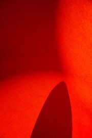 Hotelteppich von Henri Berlize