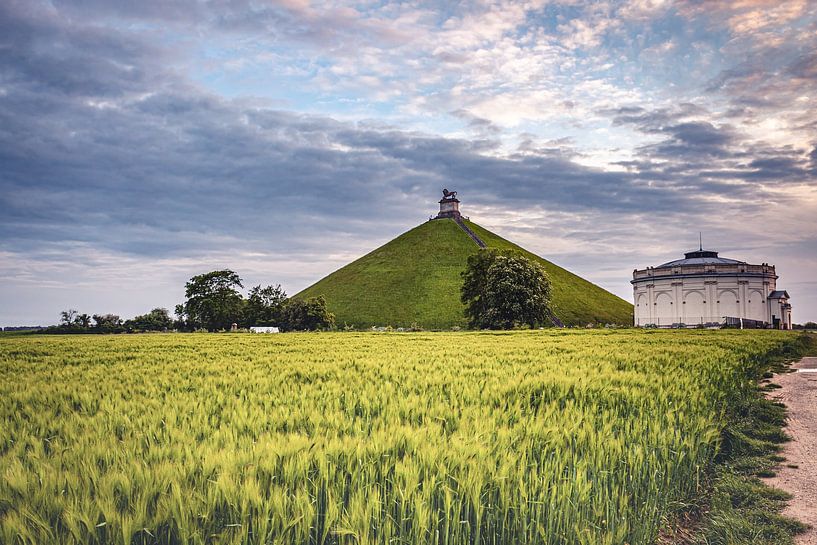 Löwe von Waterloo in grüner Landschaft |Landschaftsfotografie von Daan Duvillier | Dsquared Photography