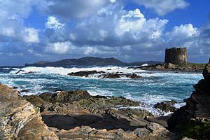 Torre della Pelosa - Sardinië