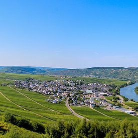 Panorama sur la Moselle sur Leonie .