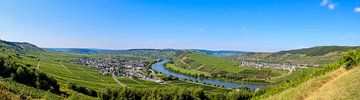 Panorama aan de moezel van Leonie .