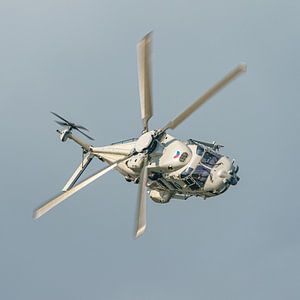 NH-90-Hubschrauber während der Welthafentage 2023.
