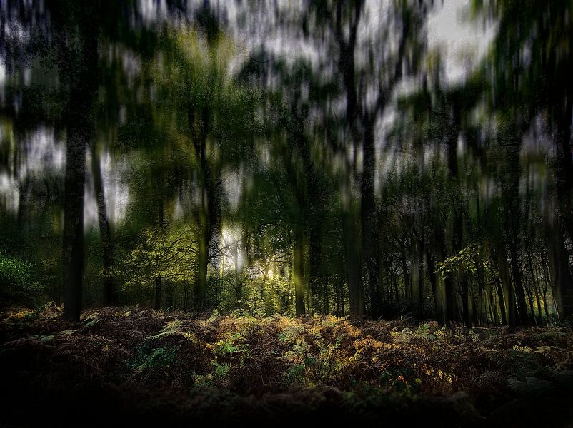Autumn Impressions by Fons Bitter