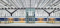 Rotterdam Centraal Station van David Bleeker thumbnail