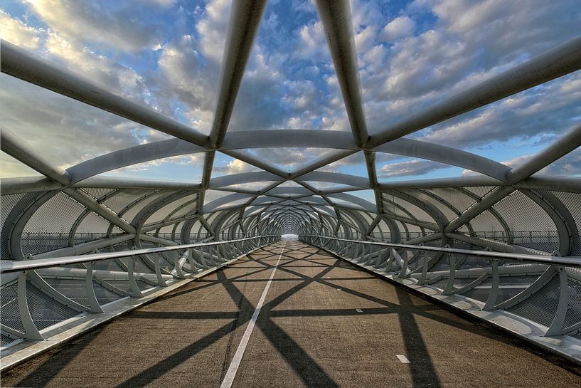 le pont cyclable de Netkous, Rotterdam, sur l'A15 par Tilly Meijer