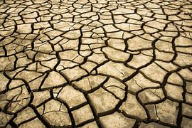 The mudflats by Danny Slijfer Natuurfotografie