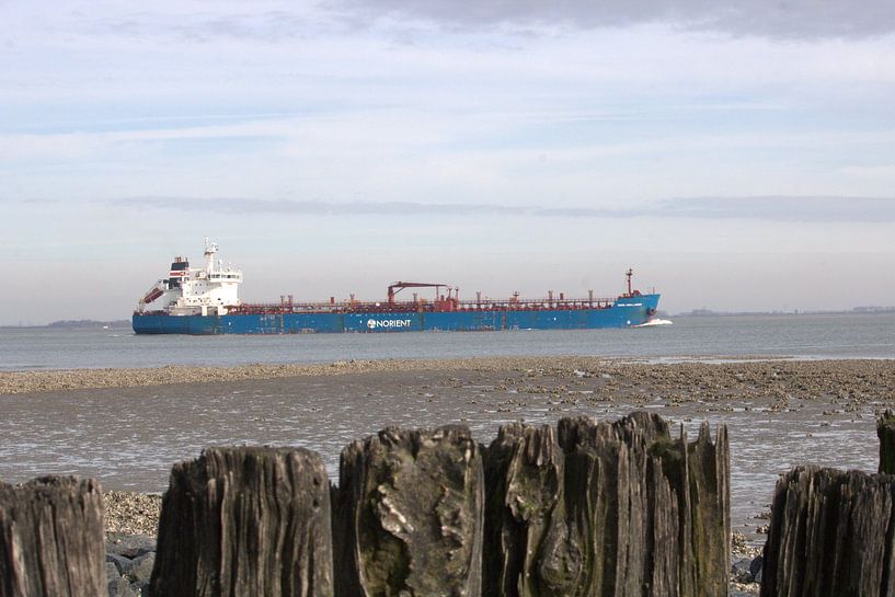 Zeedijk Terneuzen van Caithlin Schoremans