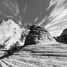 Sandsteinstruktur bei Checkerboard Mesa im Zion National Park. von Gerben Tiemens