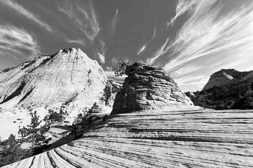 Sandsteinstruktur bei Checkerboard Mesa im Zion National Park.