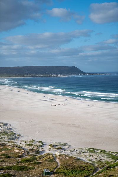 Horsriding by Marion Meyer