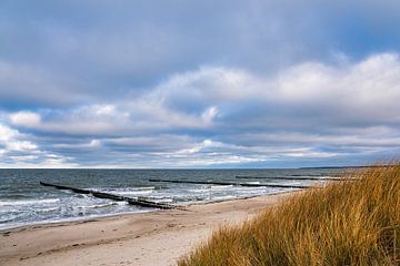 Groynes on the coast of the Baltic Sea on Fischland-Darß