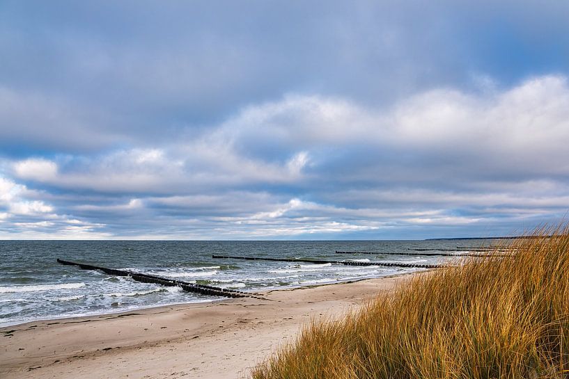 Groynes on the coast of the Baltic Sea on Fischland-Darß by Rico Ködder