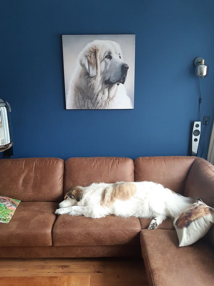 tête caractéristique d'un chien de Montagne des Pyrénées par KRAB