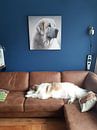 Customer photo: characteristic head of a Pyrenean Mountain Dog by Karina Brouwer