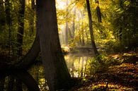 Oelerbeek Hof van Twente von Martijn van Steenbergen Miniaturansicht