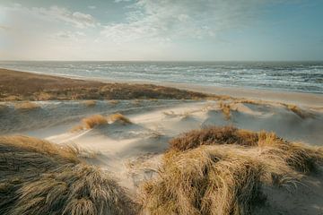 Dunes, plage et mer sur la côte néerlandaise