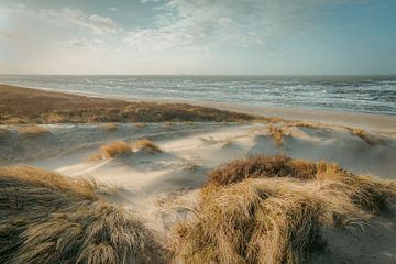 Dünen, Strand und Meer an der niederländischen Küste