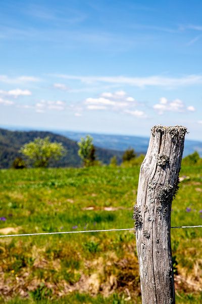 Weathered fence post on the Belchen in Alsace by Alexander Wolff